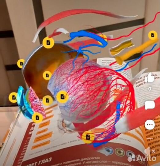 Гигантская детская 4D энциклопедия