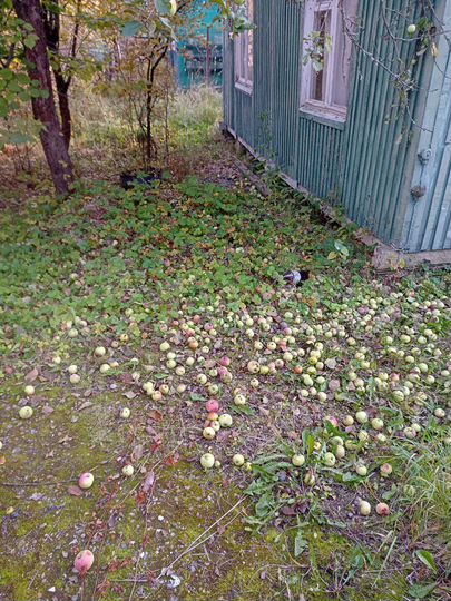 Дача 36 м² на участке 6 сот.