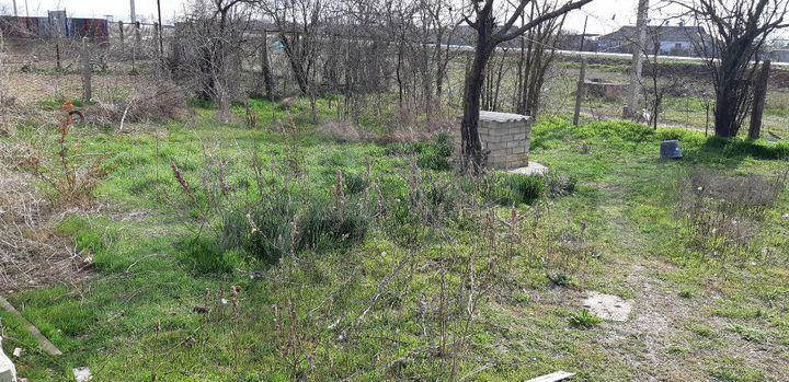 Участок 16 сот. (ИЖС)