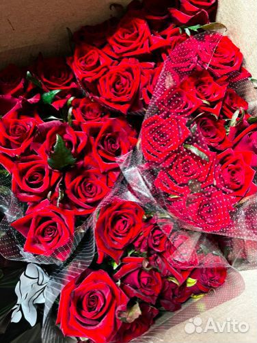 Роза оптом 
