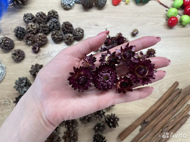Шишки перья сухоцветы для рукоделия