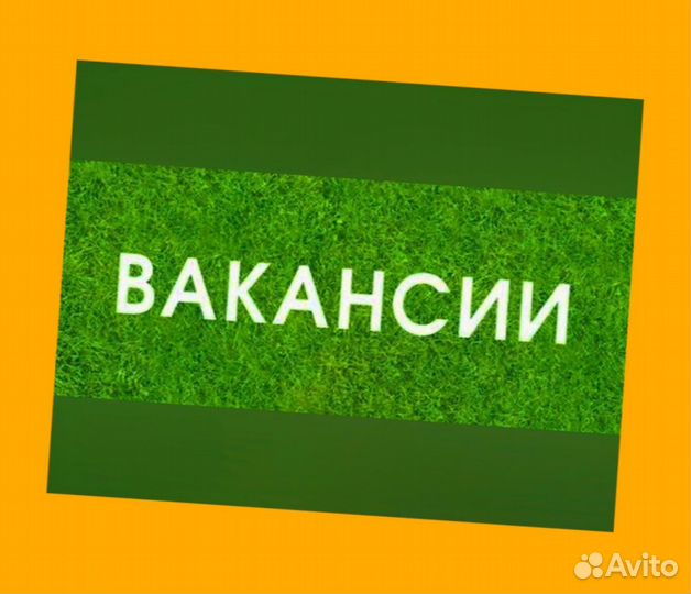 Упаковщик на склад Еженедельные выплаты Без опыта