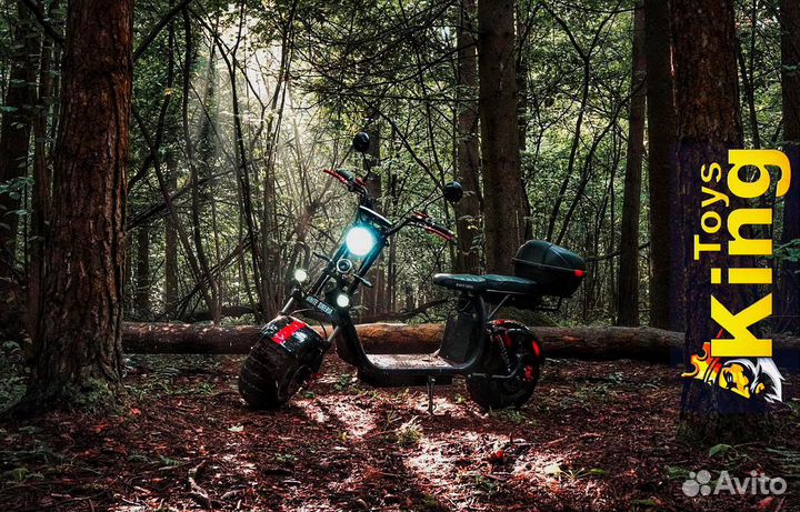 Электроскутер WS-PRO 2WD 4000W New Off-Road