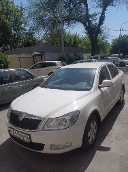 Skoda Octavia: фото владельца