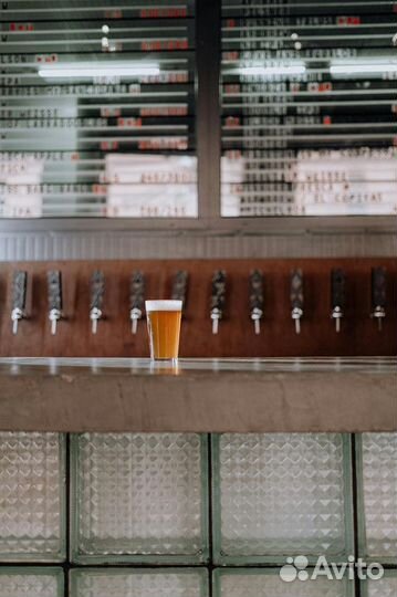 Готовый бизнес пивной магазин Honey&Beer