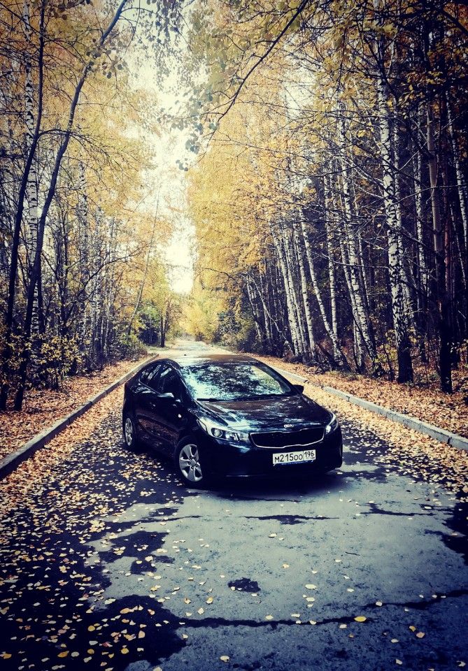 Kia Cerato: фото владельца