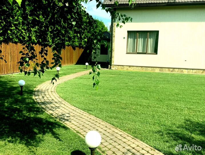 Рулонный газон