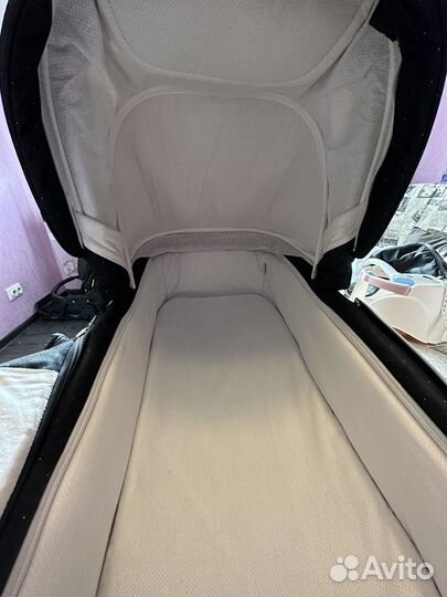 Детская коляска adamex reggio special edit