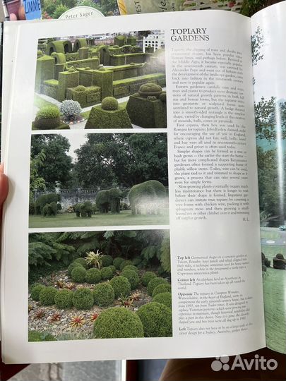 Сад. Ховард Локстон