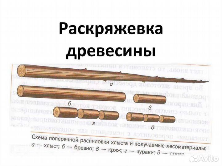 Валка, рубка, спил деревьев