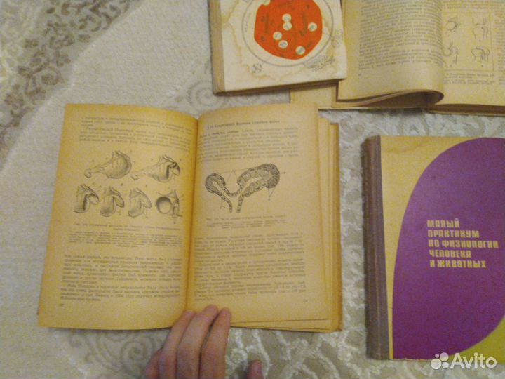 Книги СССР по Физиологии человека