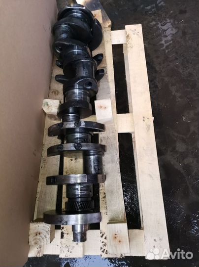 Коленвал ямз 238 стандарт №1841719