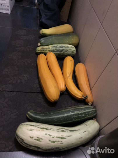 Тыква кабачки