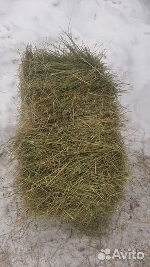 Сено луговое