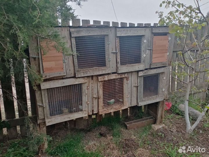 Клетка для домашнего кролика