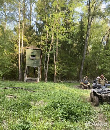Прокат-аренда квадроциклов и снегоходов