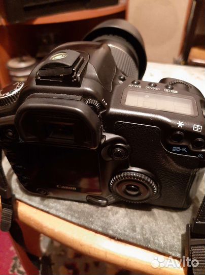 Canon 30d 40 d