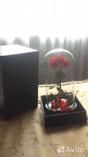 Роза в стекле