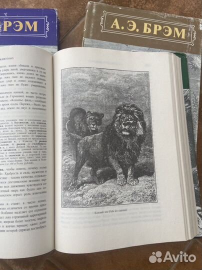 Энциклопедия Жизнь животных А. Э. Брэм 3 тома