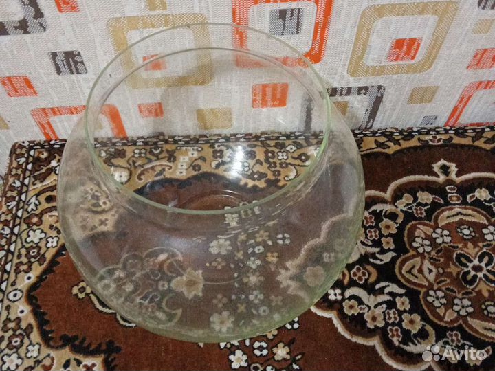 Аквариумные рыбки