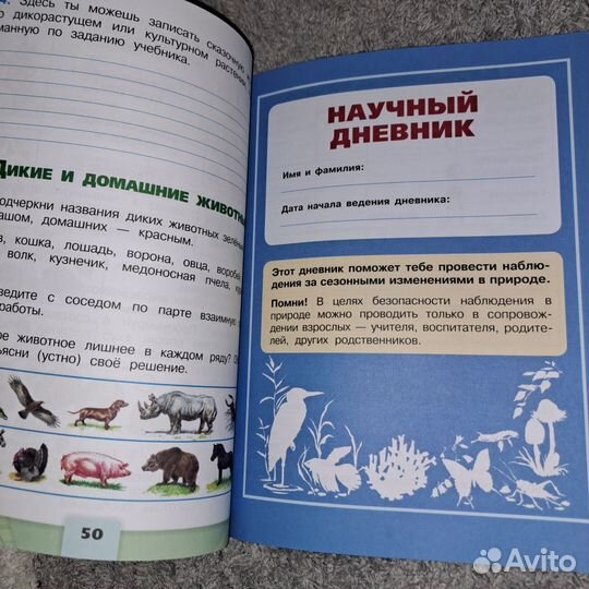 Рабочая тетрадь Окружающий мир 2 класс 1 часть