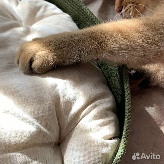 Лежанка для животных