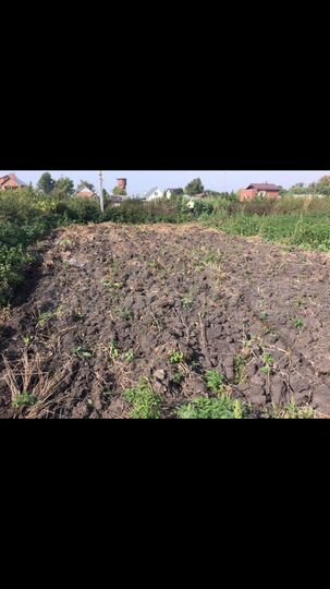 Участок 25 сот. (ИЖС)