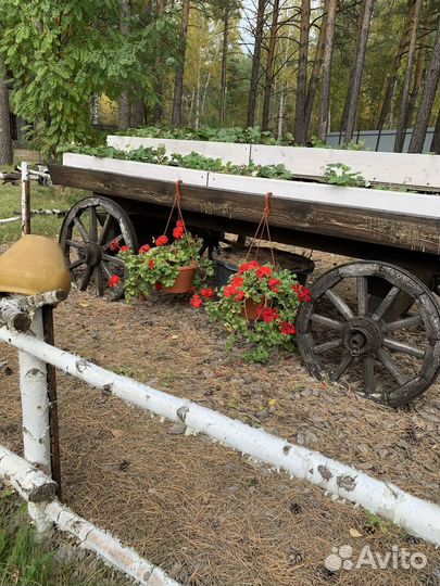 Телега конная декоративная