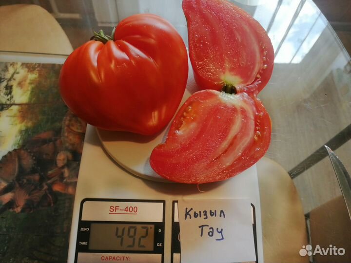Семена томатов