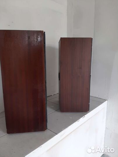 Акустические колонки радиотехника s-90B