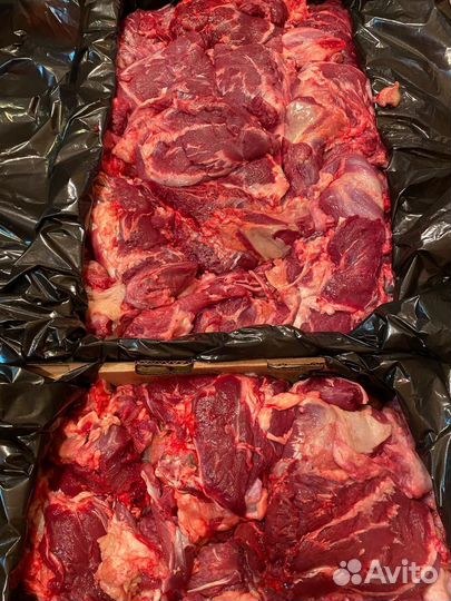 Мясо говядина для собак