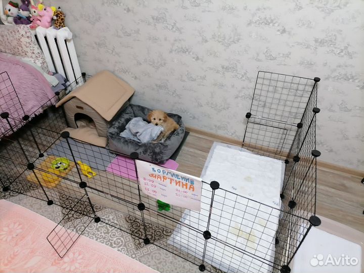 Вольер для щенков в квартиру