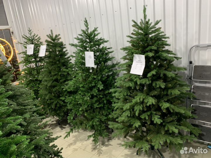 Ель комбинированная