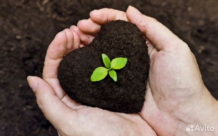 Торфосмесь