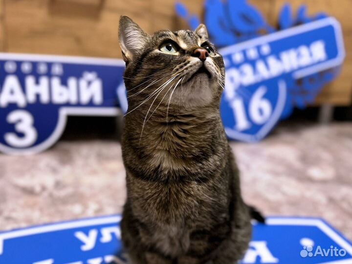 Адресник для дома и дачи