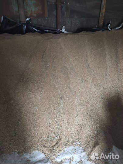 Продам пшеницу