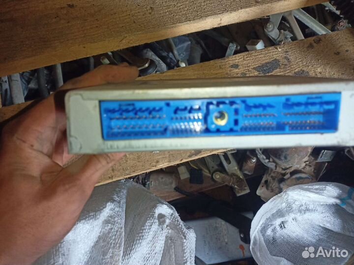 Эбу nissan primera p11