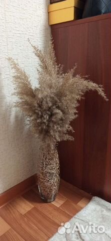 Пампасная трава