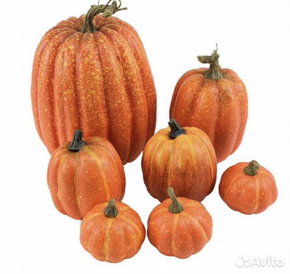 Тыквы декоративные реалистичные