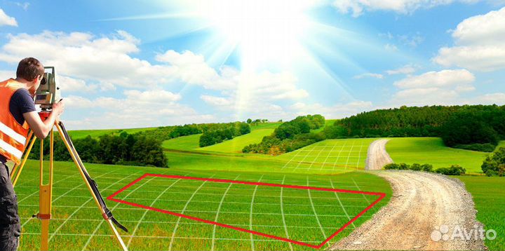 Геодезист, Вынос границ участка