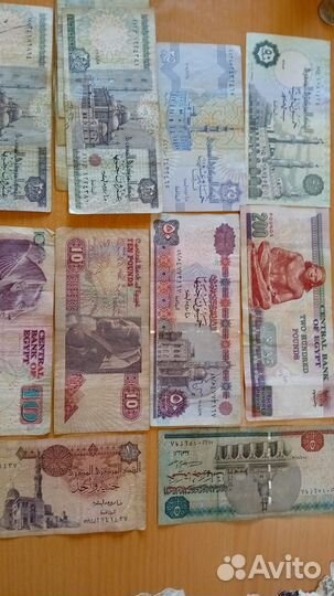 Албания -украина -египет -румыния-украина -бонны