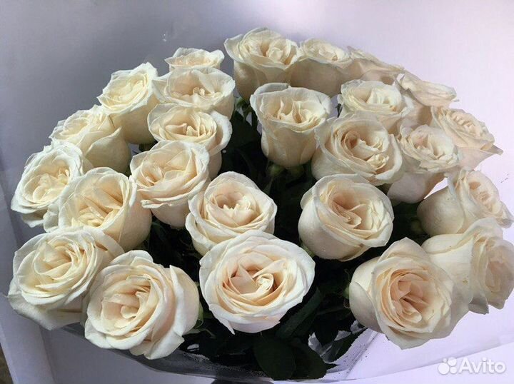 Букет роз в Иркутске