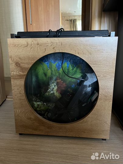 Аквариум эллюминатор 46х46х16 см