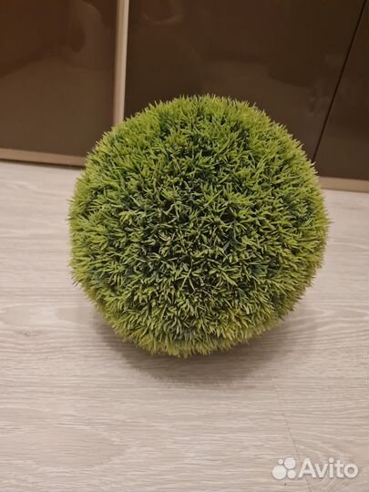 Самшит декор премиум