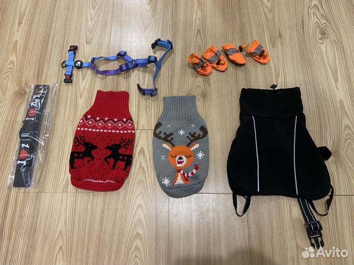 Вещи, шлейка, ботиночки для щенка