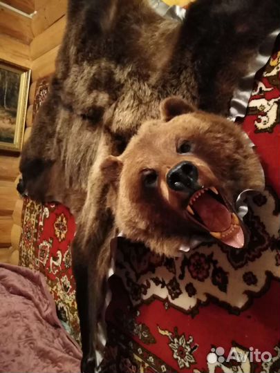 Шкура медведя(имитация)