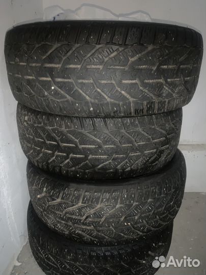 Tigar Winter 195/50 R15