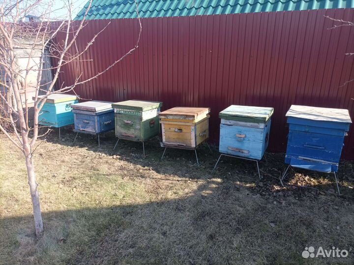 Улей для пчел бу