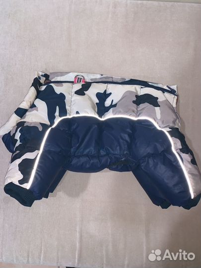 Одежда для средних собак