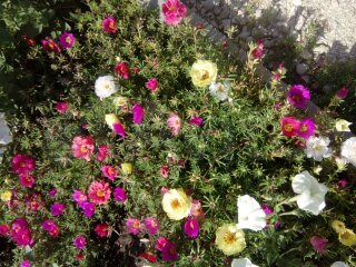 Дача 130 м² на участке 8 сот.